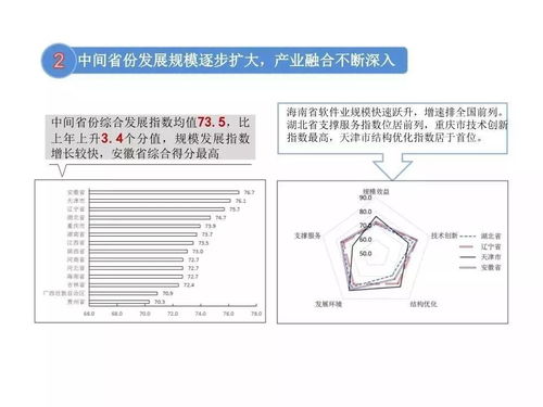 2019年中國軟件和信息技術服務業綜合發展指數報告發布 基礎軟件與技術服務成焦點
